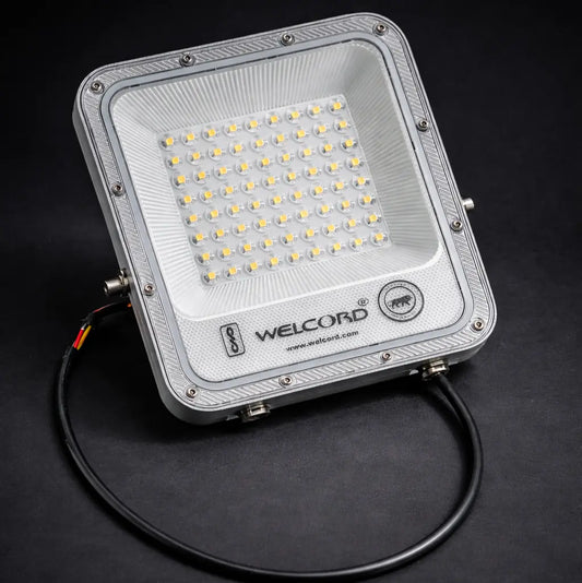 Focus Light
