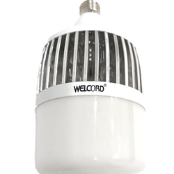 30 Watts Large Bulb