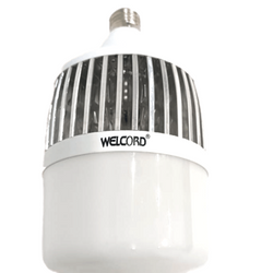 100 Watts Large bulb