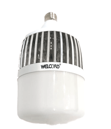100 Watts Large bulb