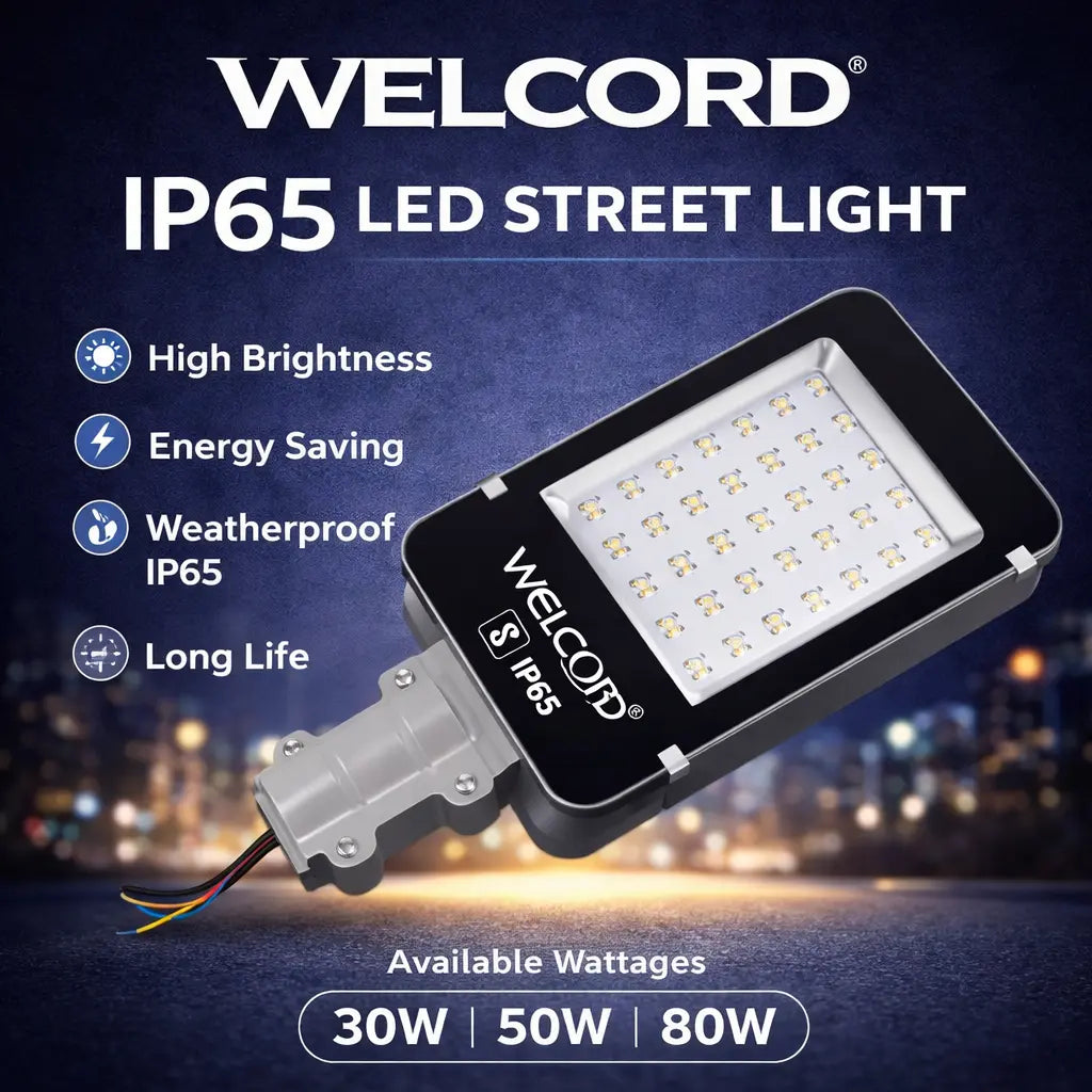 30 Watts Street Light