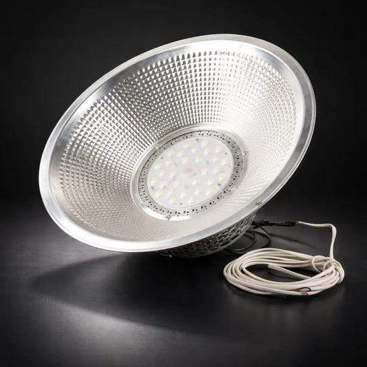 Factory Lights