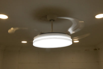 LED SMART FAN