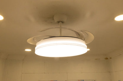 LED SMART FAN