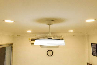 LED SMART FAN