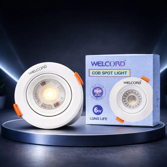 6w Spot light